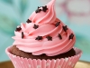 pink_cupcake.jpg